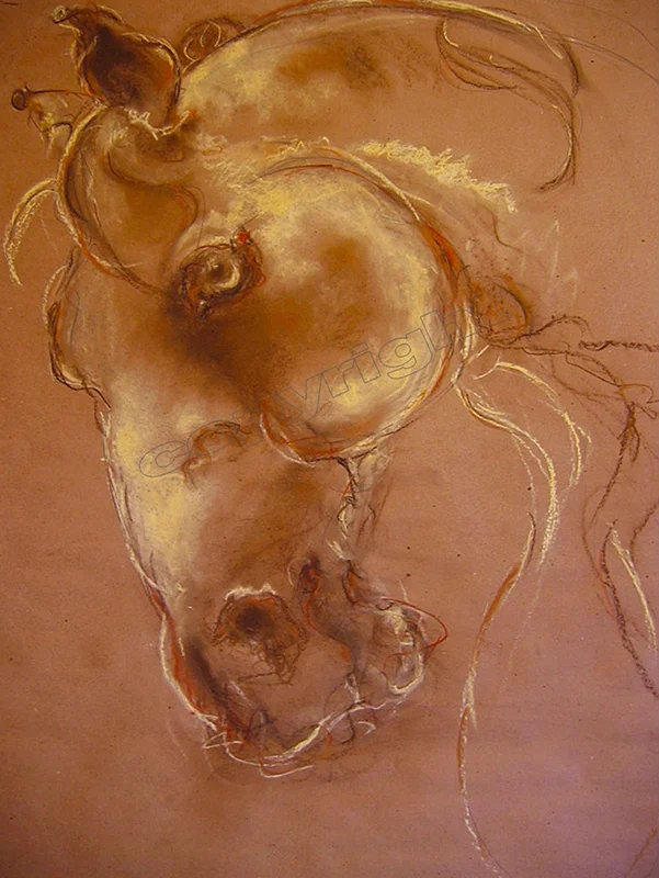 Horse Head Study #5