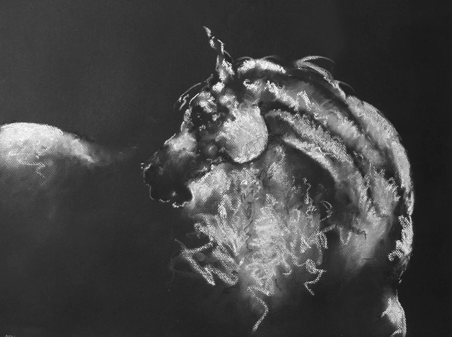 Moon Horse