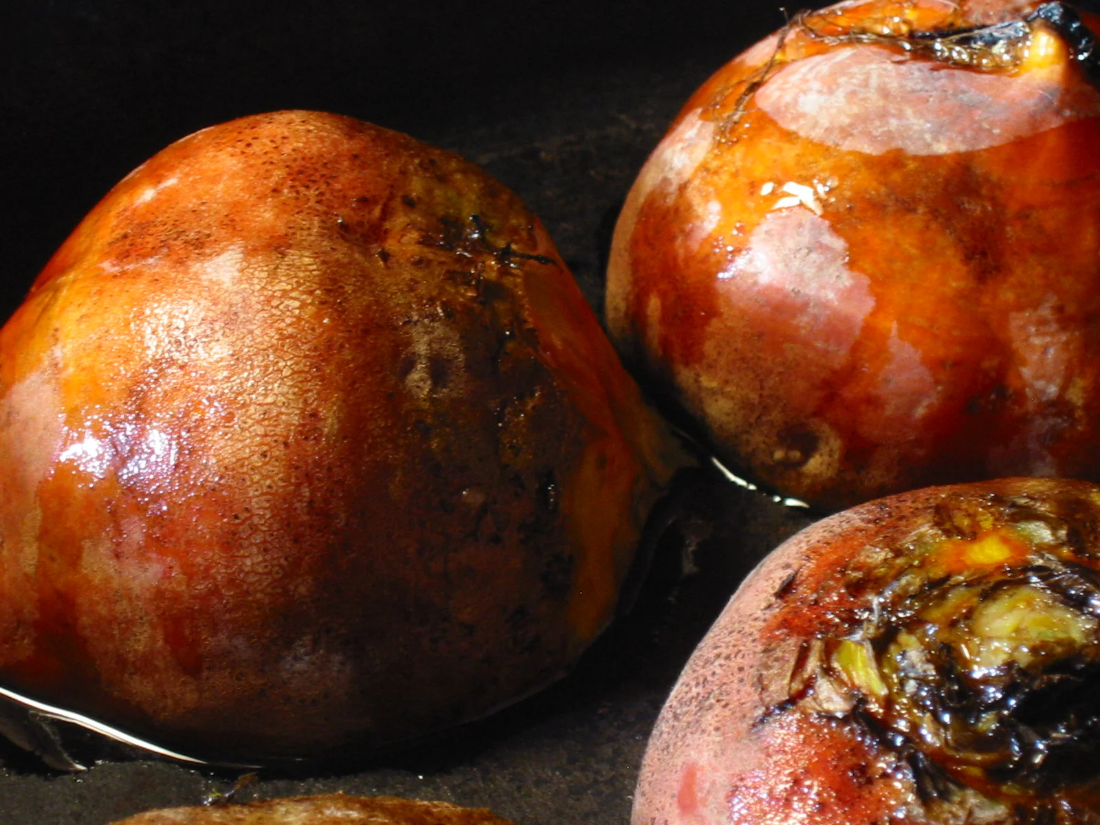 food su nightlights fiona 009.JPG