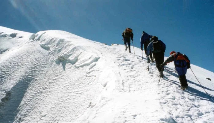 To the top!