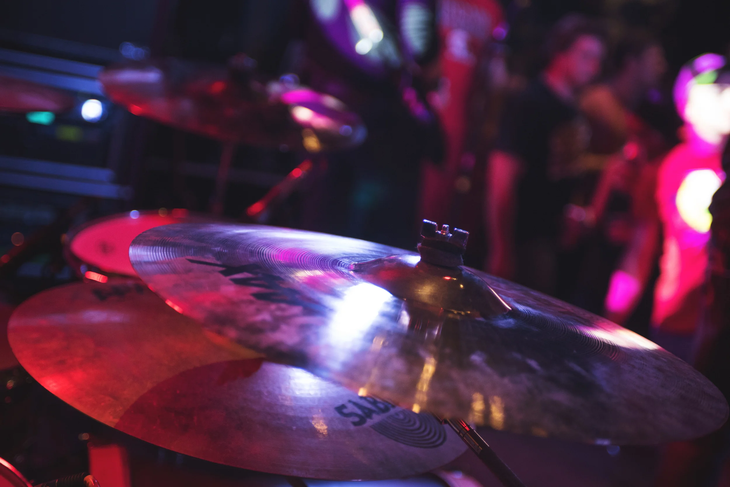 back_forty_2015-82 edit.jpg