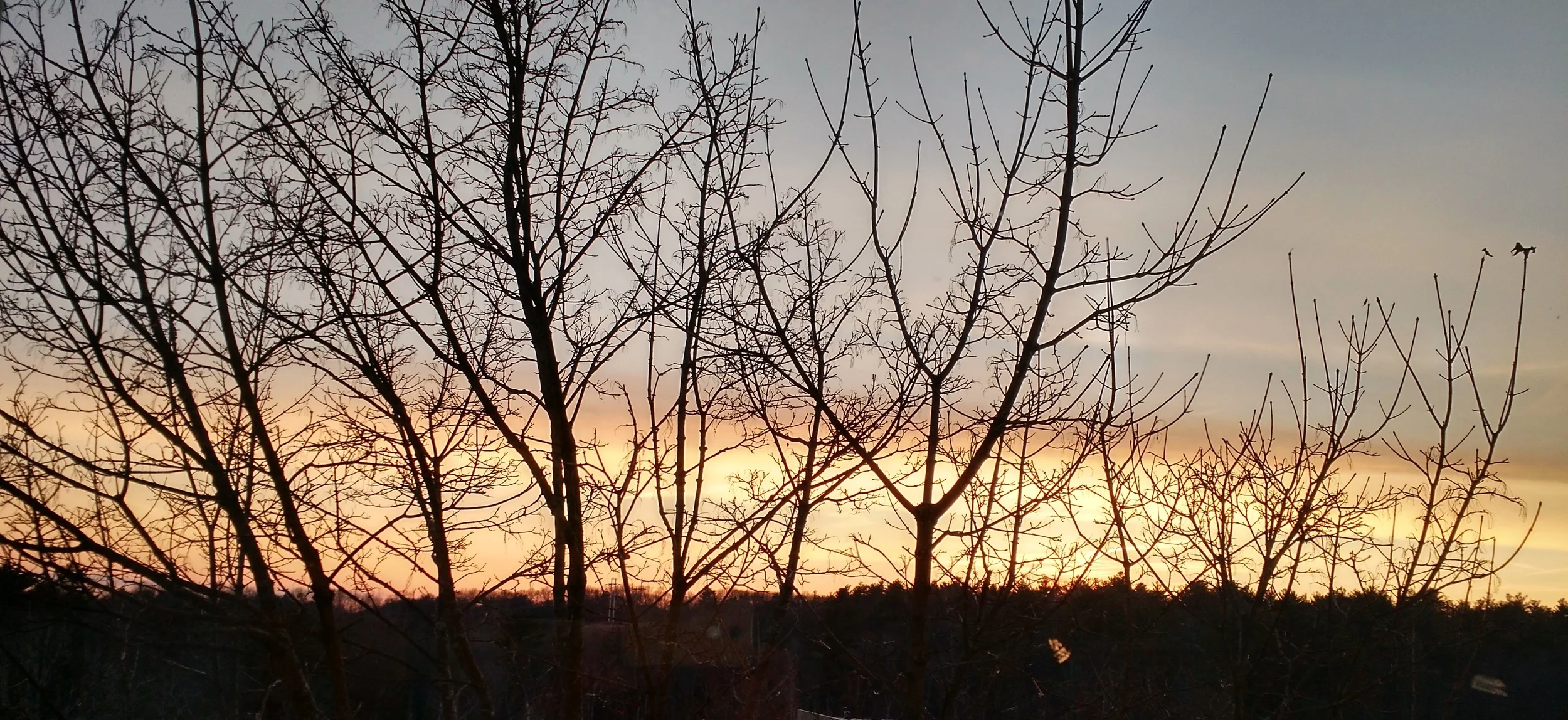 Winter Blues and Writing