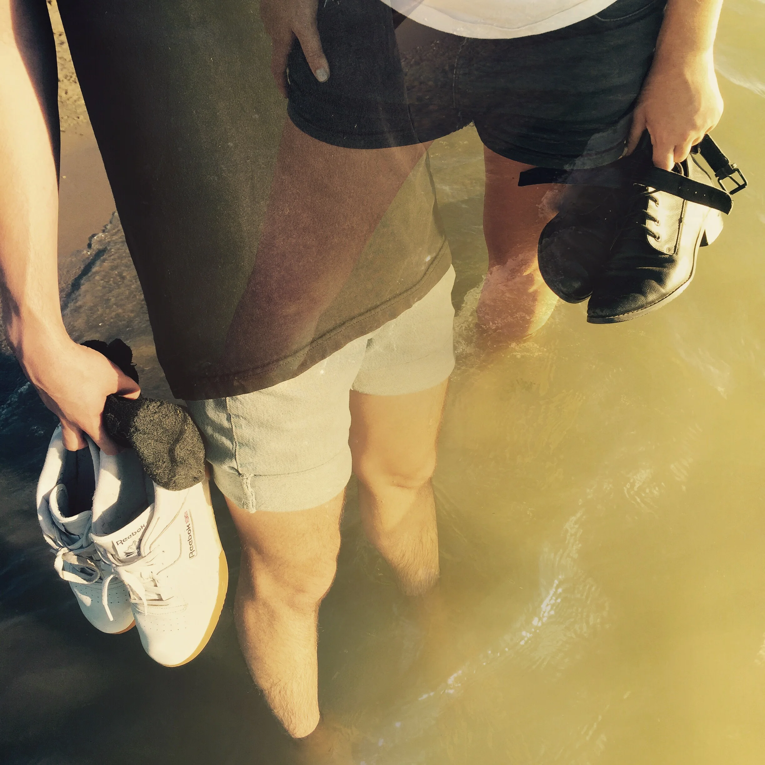 Detroit River Dippers.JPG