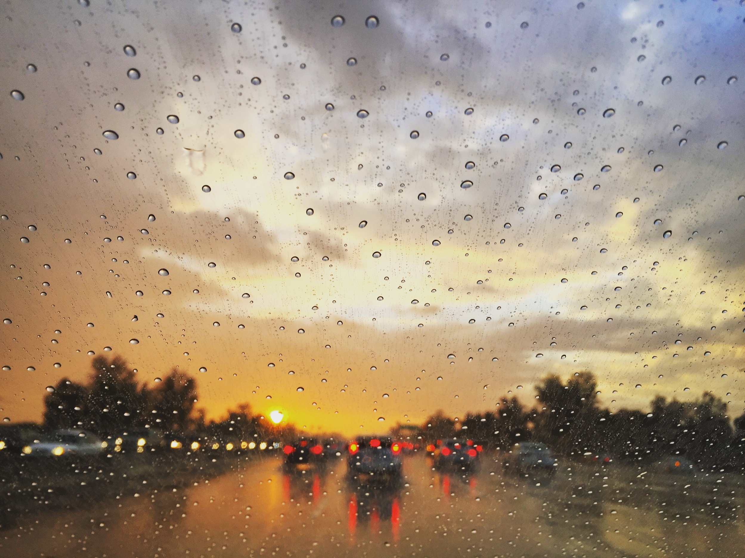 Rainy windshield.JPG