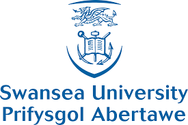swansea_inverse.png