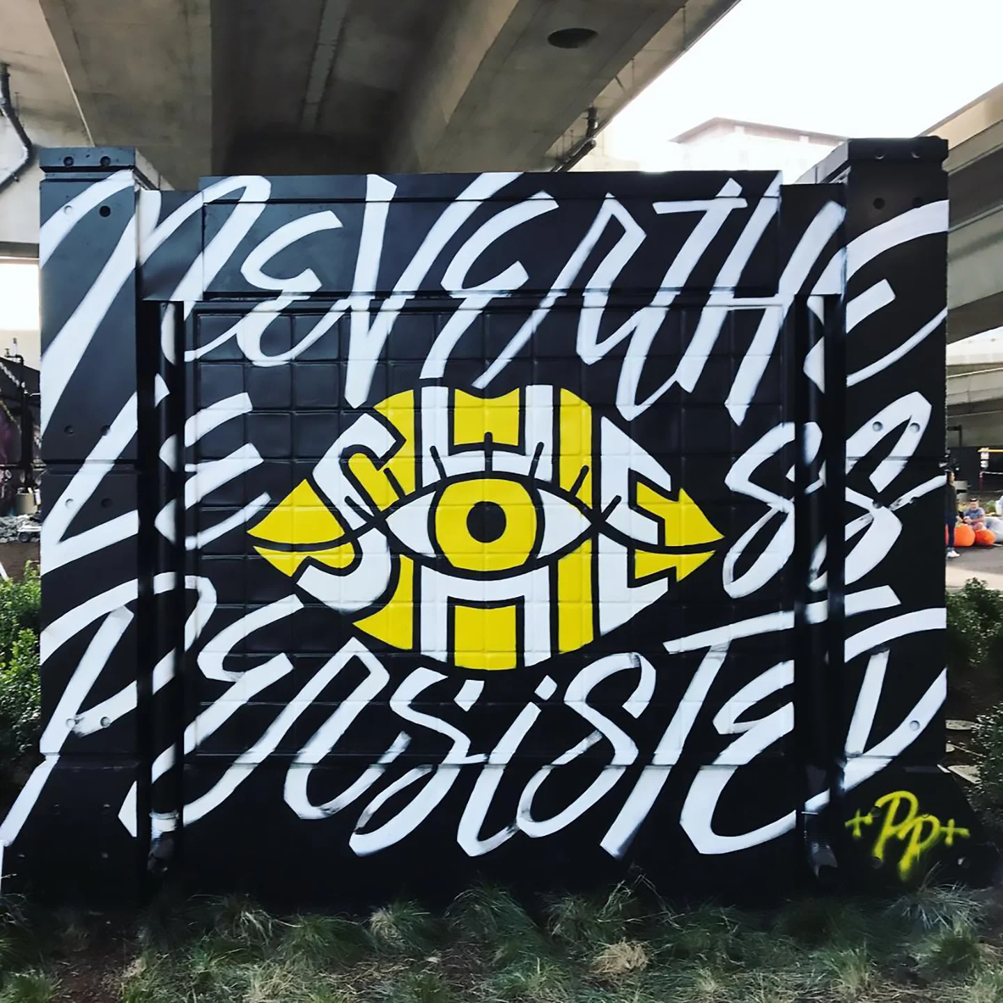 NSP_IG_IMG_large.jpg