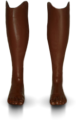 lowerextremity_Cutout.png