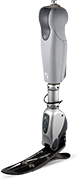 Symbionic-Knee-(B-1)sm.png