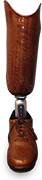 Socket-F-1_sm.png