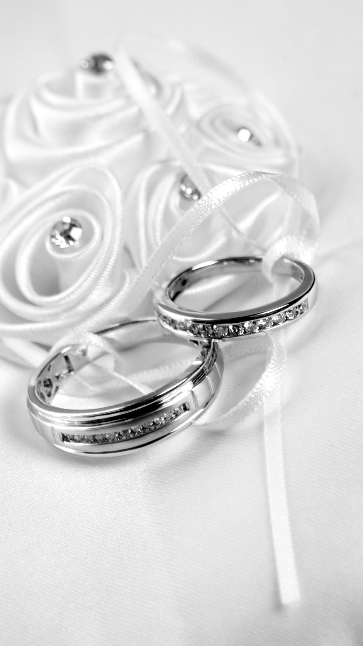 Rings.jpeg