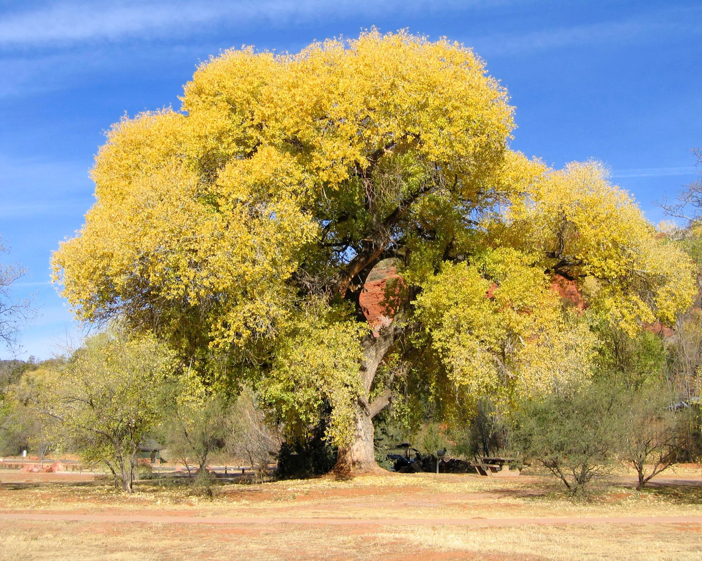 sedona_arizona_1.jpg
