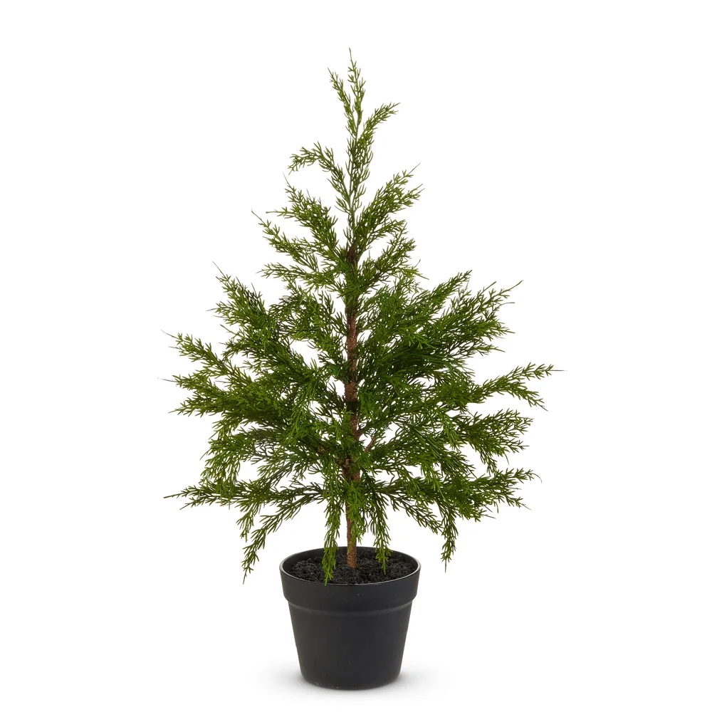 4511766_27in potted cedar tree.webp (Copy)