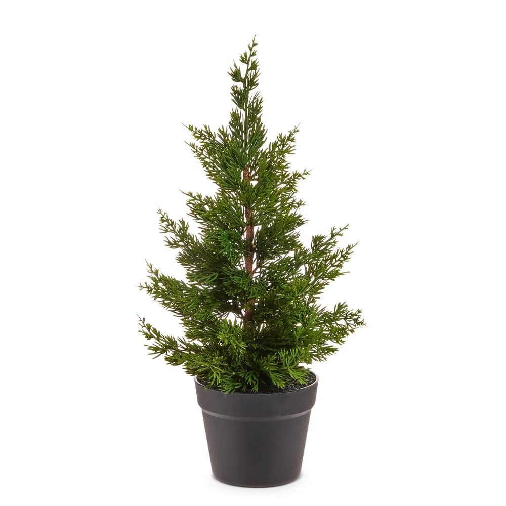 4511768_22in potted cedar tree.webp