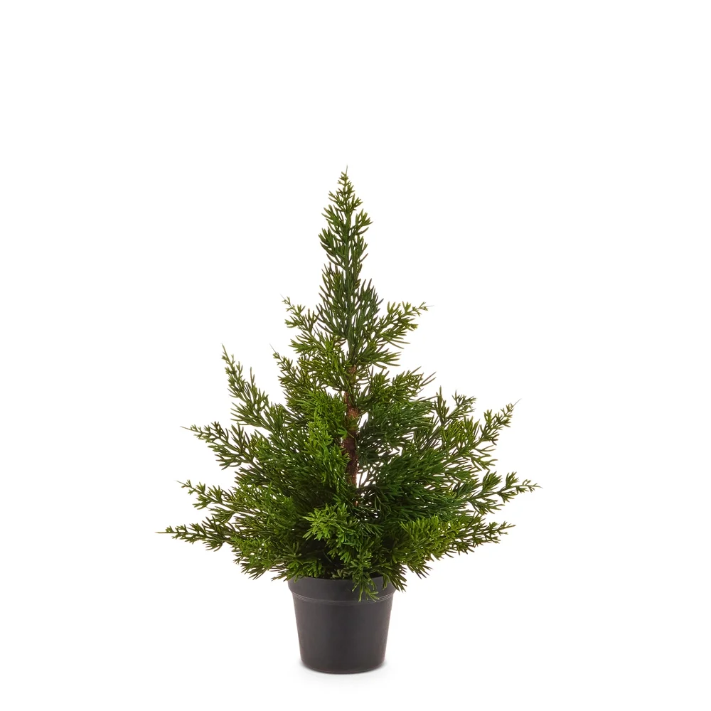4511767_17in potted cedar tree.webp