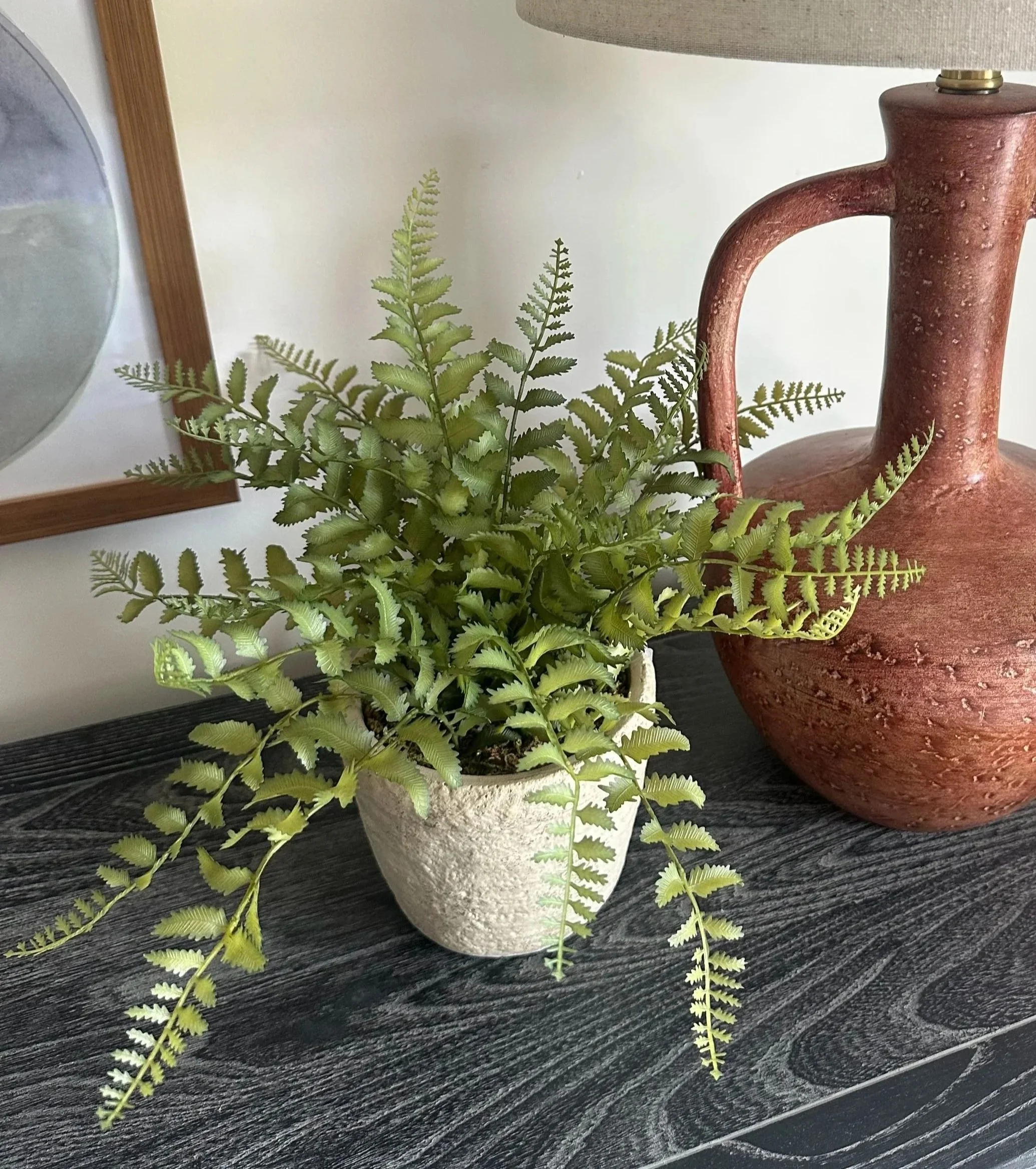 Fern in Weathered Cement Pot