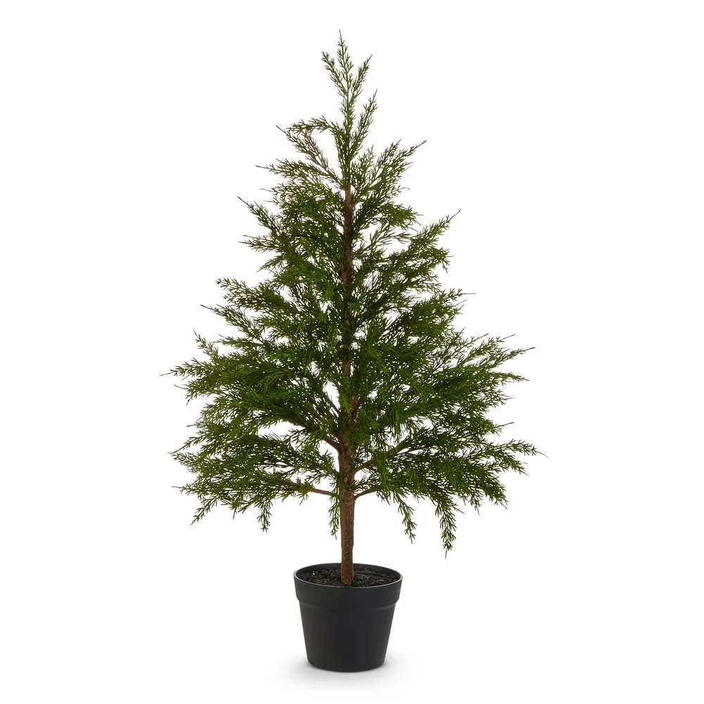 4511765_36in potted cedar tree.webp