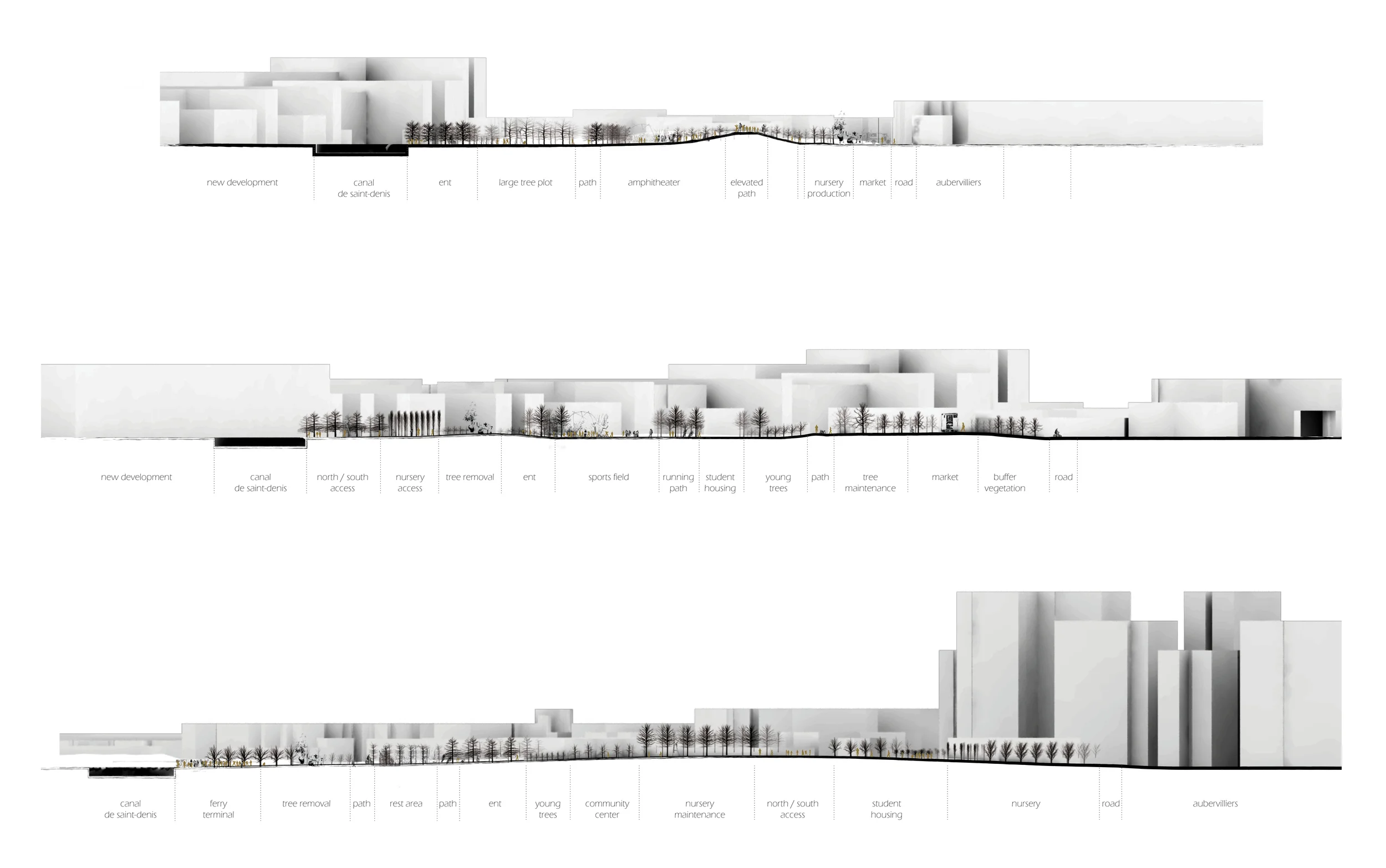 Long Sections.jpg