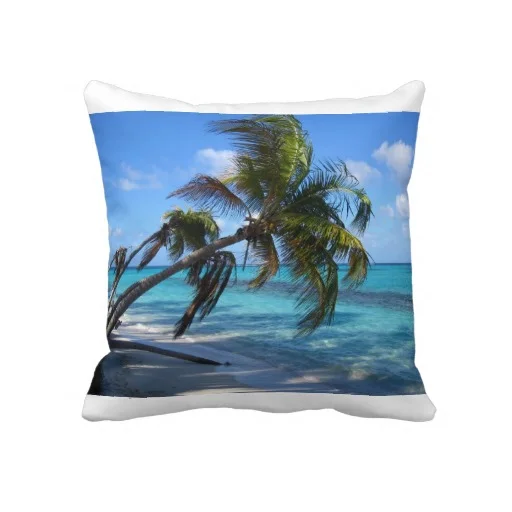 20"x20" throw pillow &nbsp;