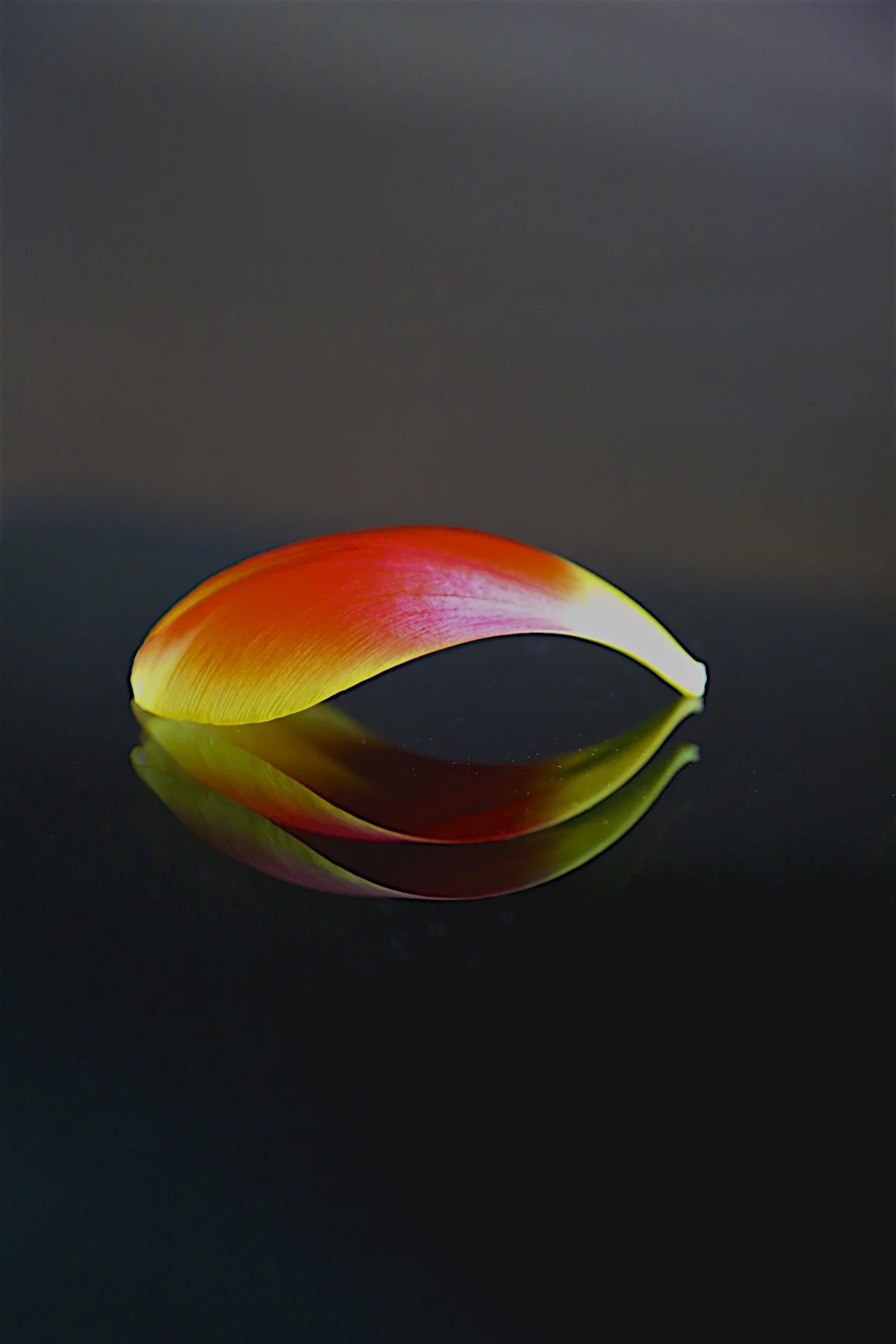 IMGM7724 - Version 2.jpg