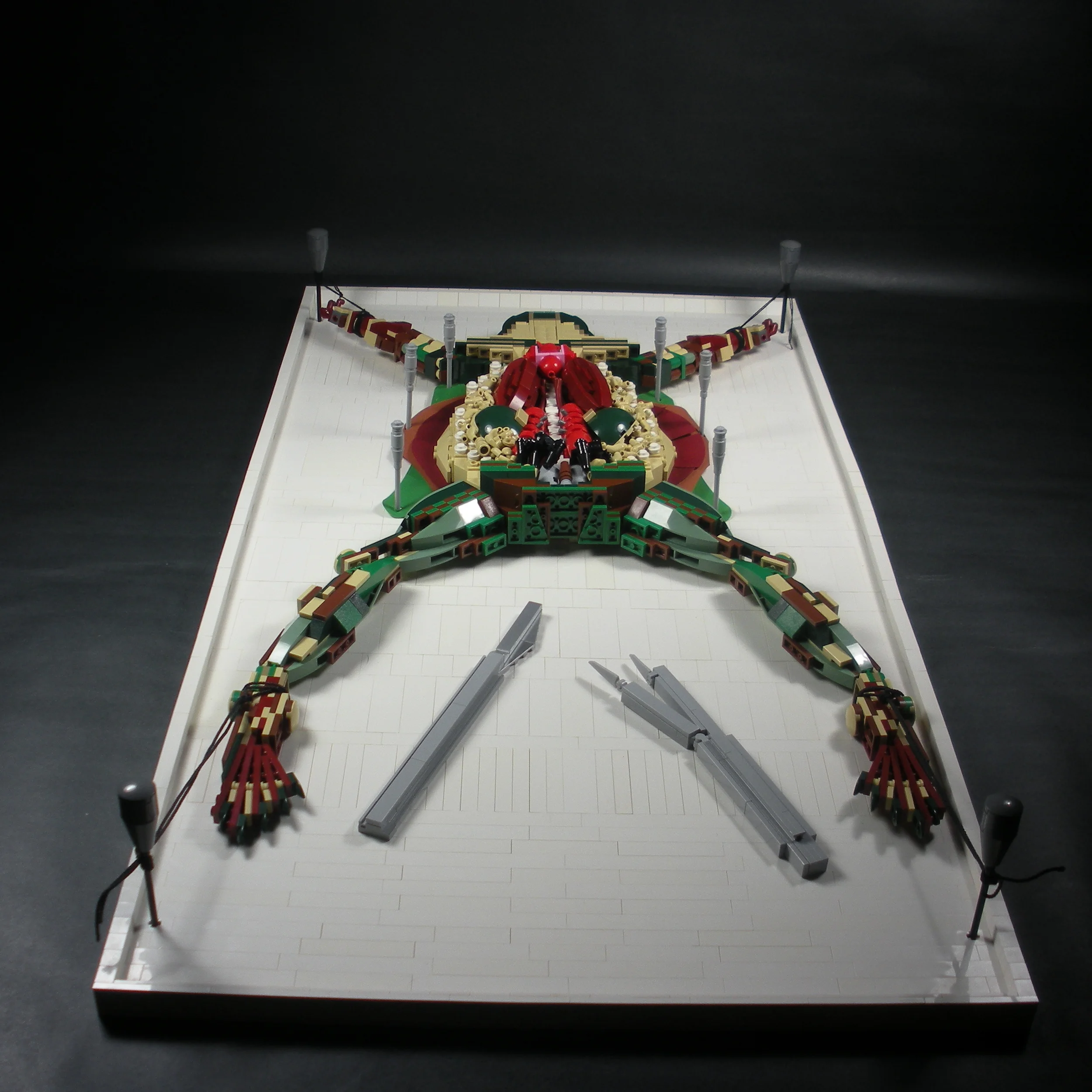 Dissected Frog - 2010