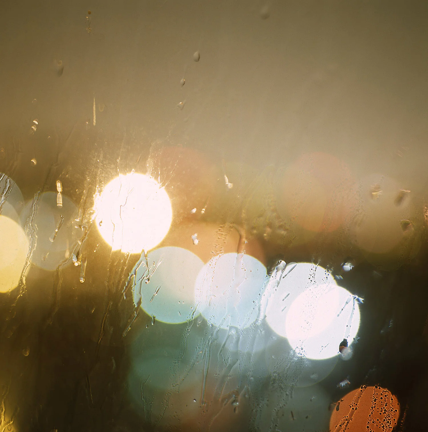 lights002.jpg