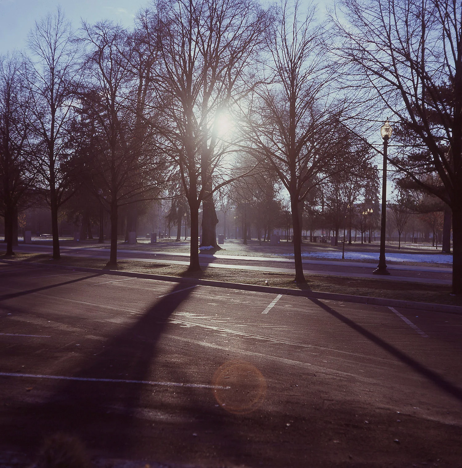 park001.jpg