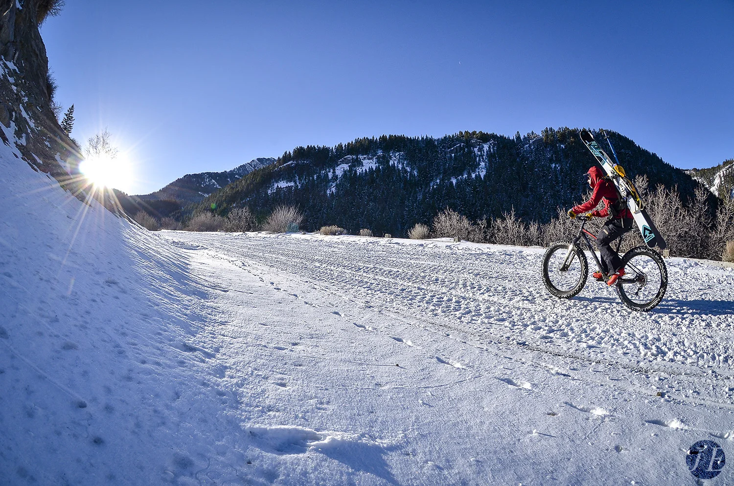 ©JE-Surface-Bike-219.jpg