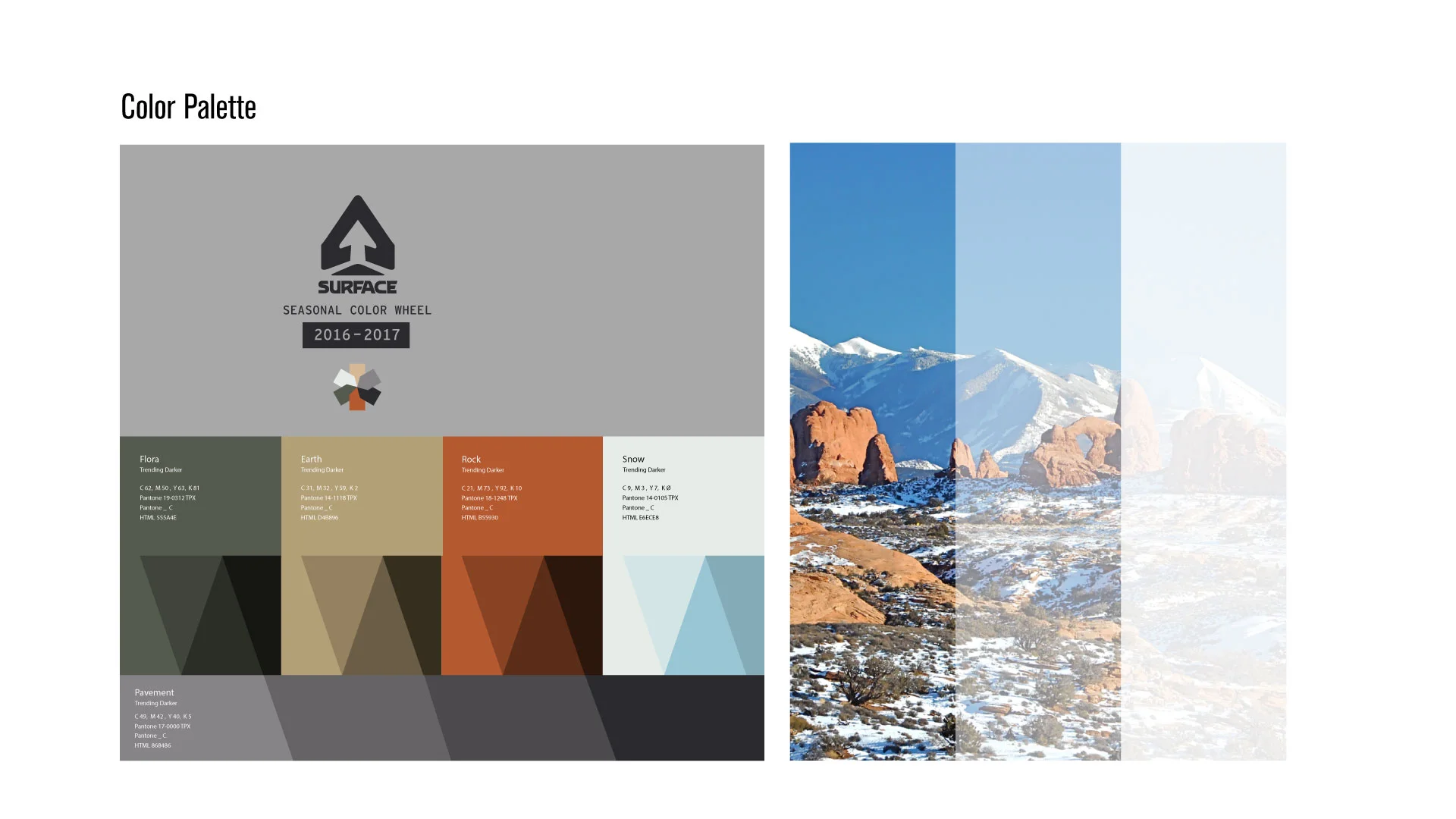 SurfaceSkis_System_ColorPalette.jpg