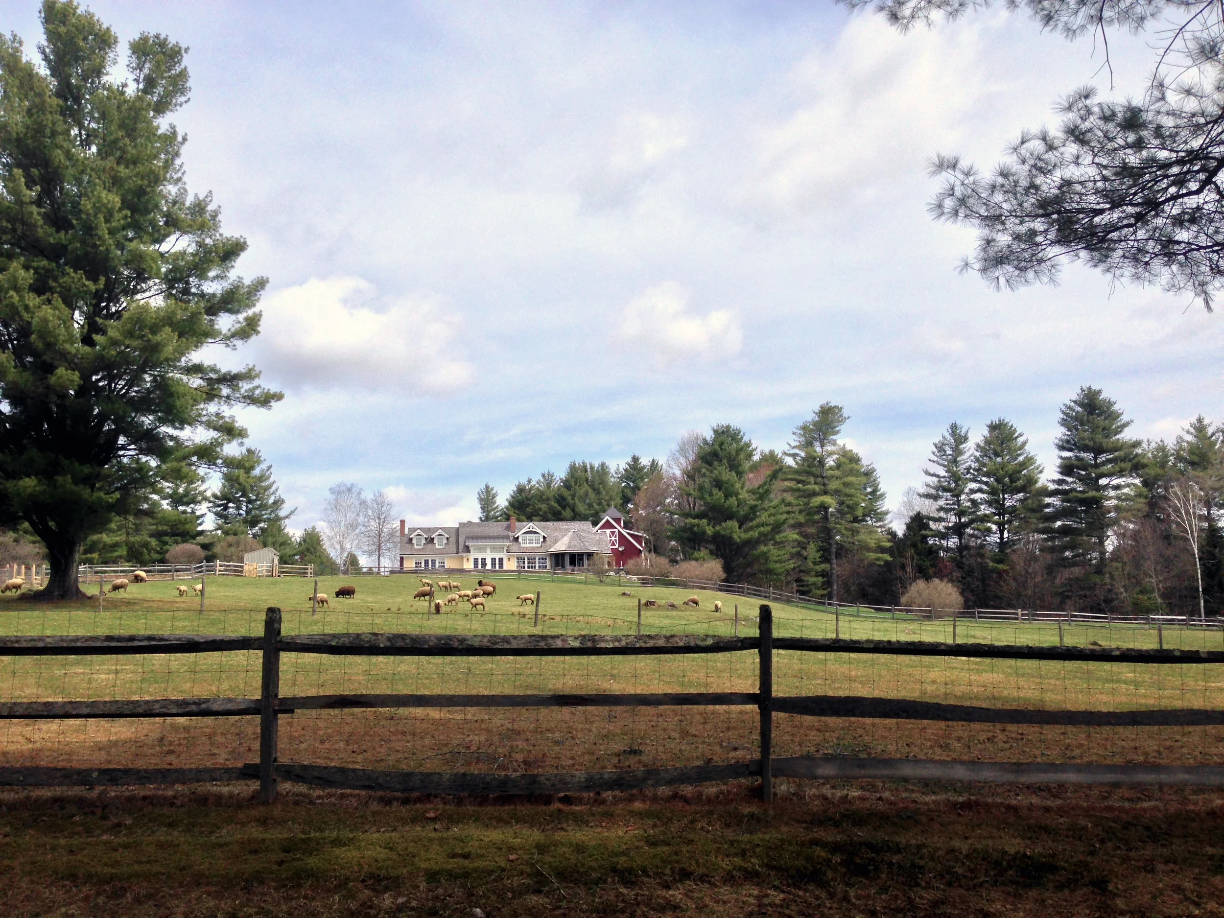 Tansy Hill, Stowe VT