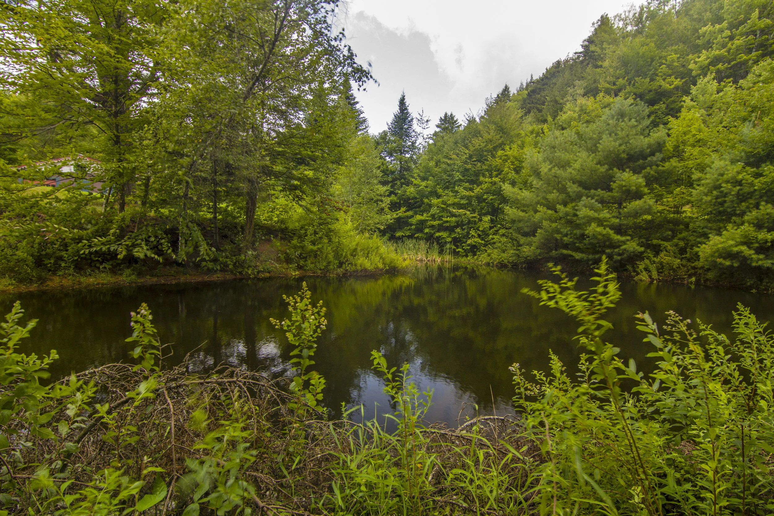 15-2017-08-25 IMG_3969 Bormann Pond.jpg