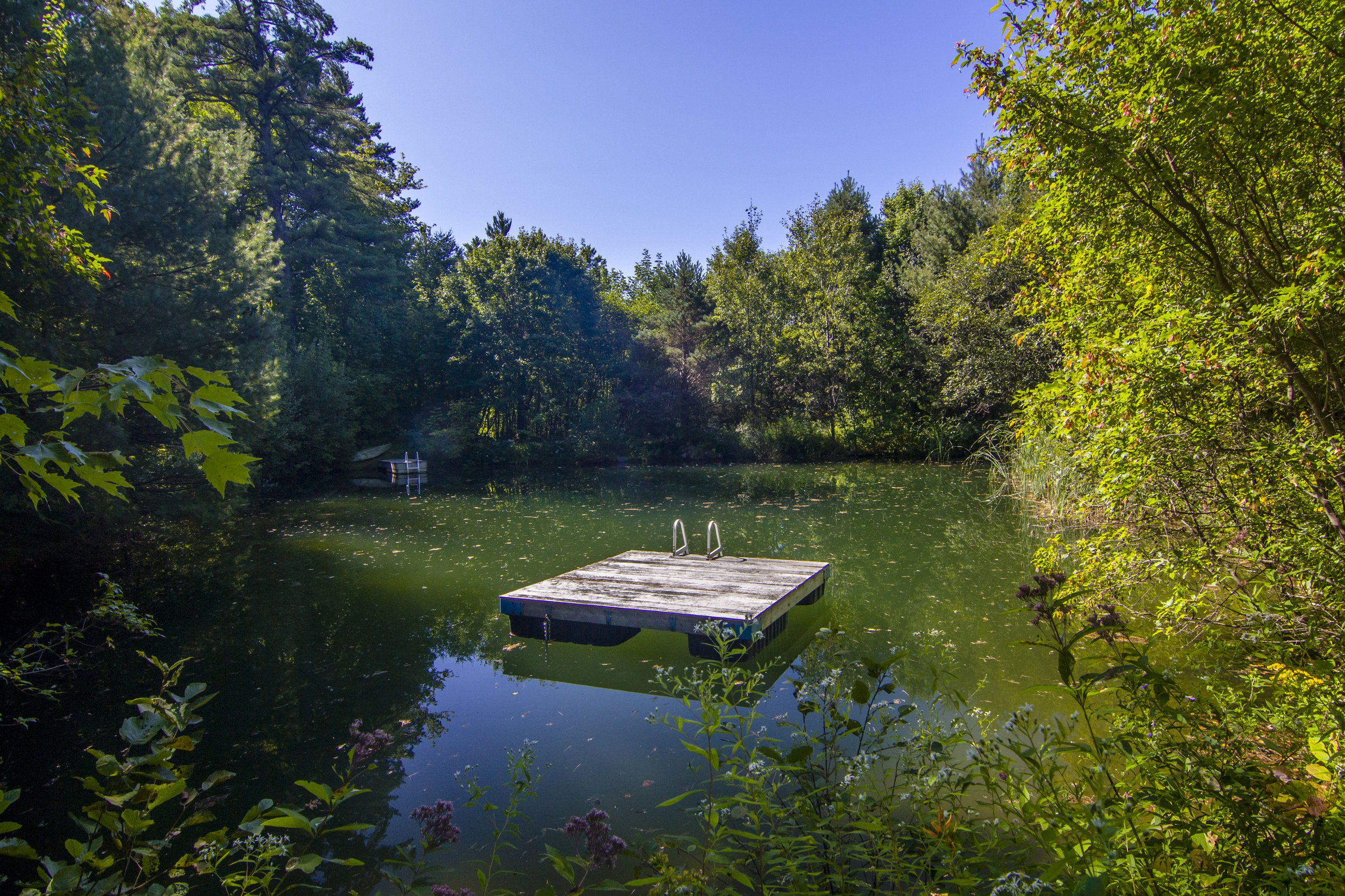 06-Here's your swimming pond with a dock and float!