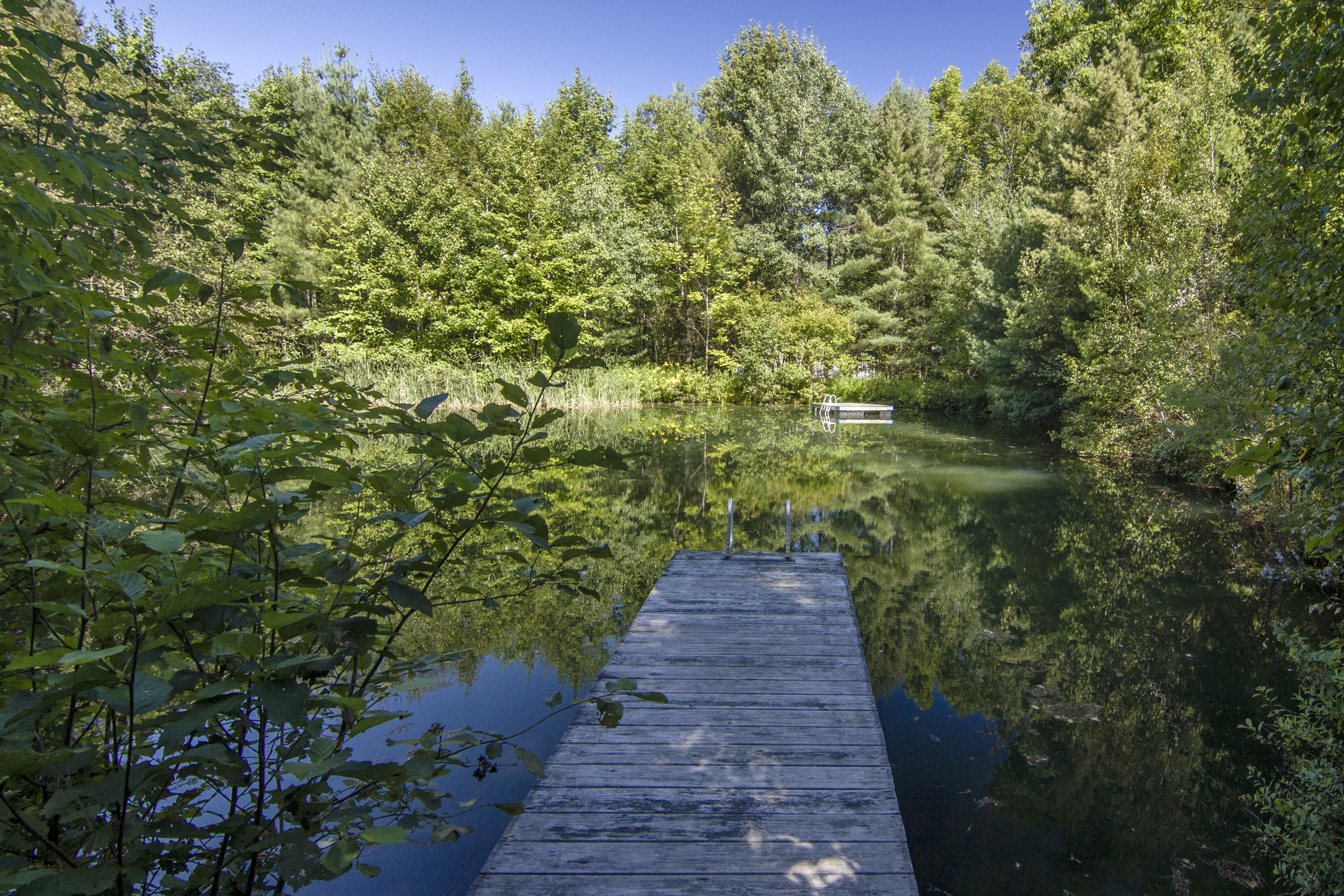 34-Dive off the end of the dock
