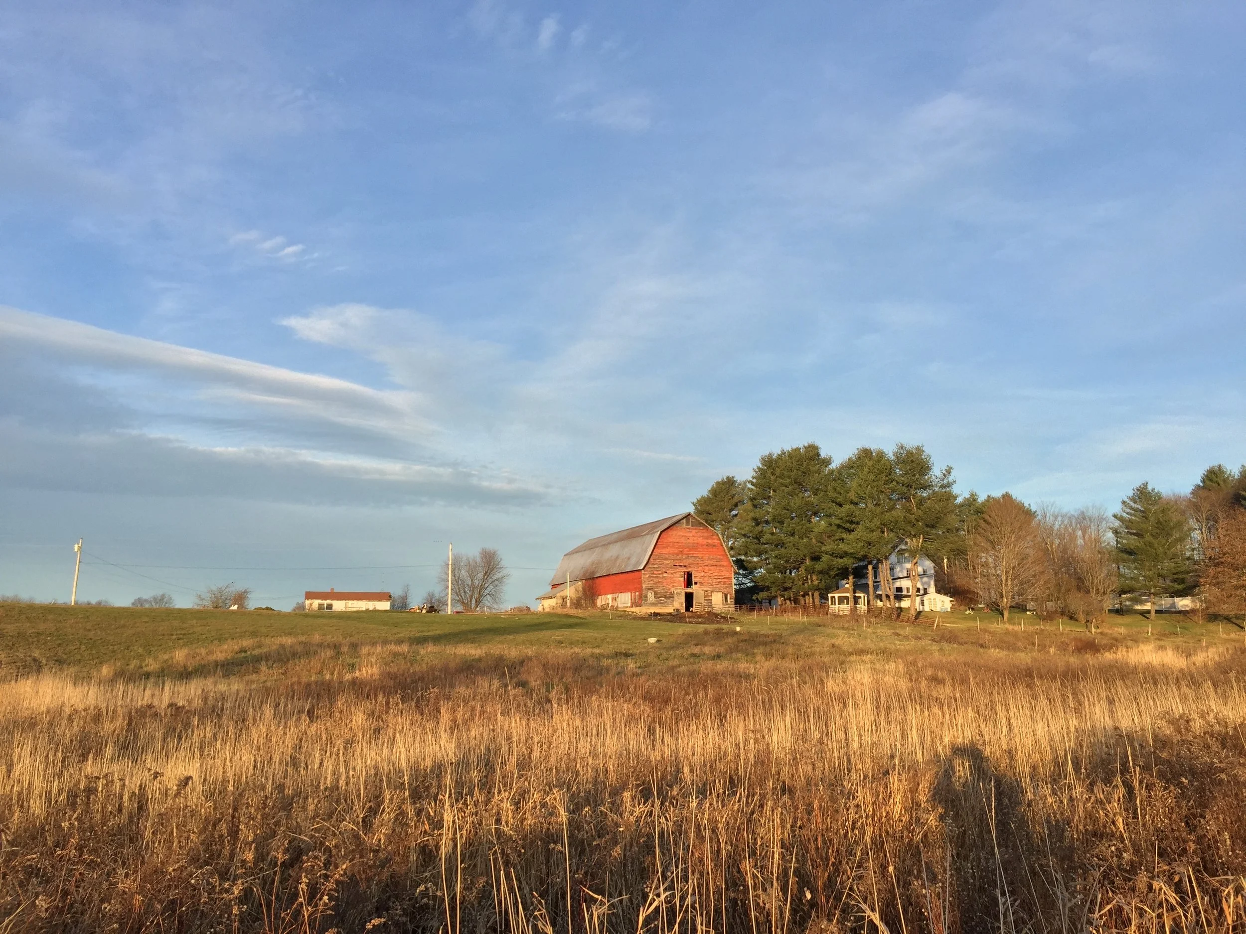 5-Autumn Light, Morrisville VT