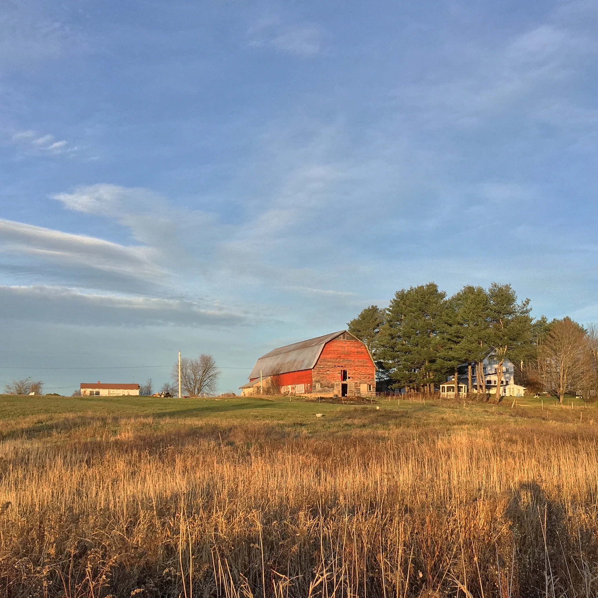 6-Autumn Light, Morrisville VT, Instagram Square