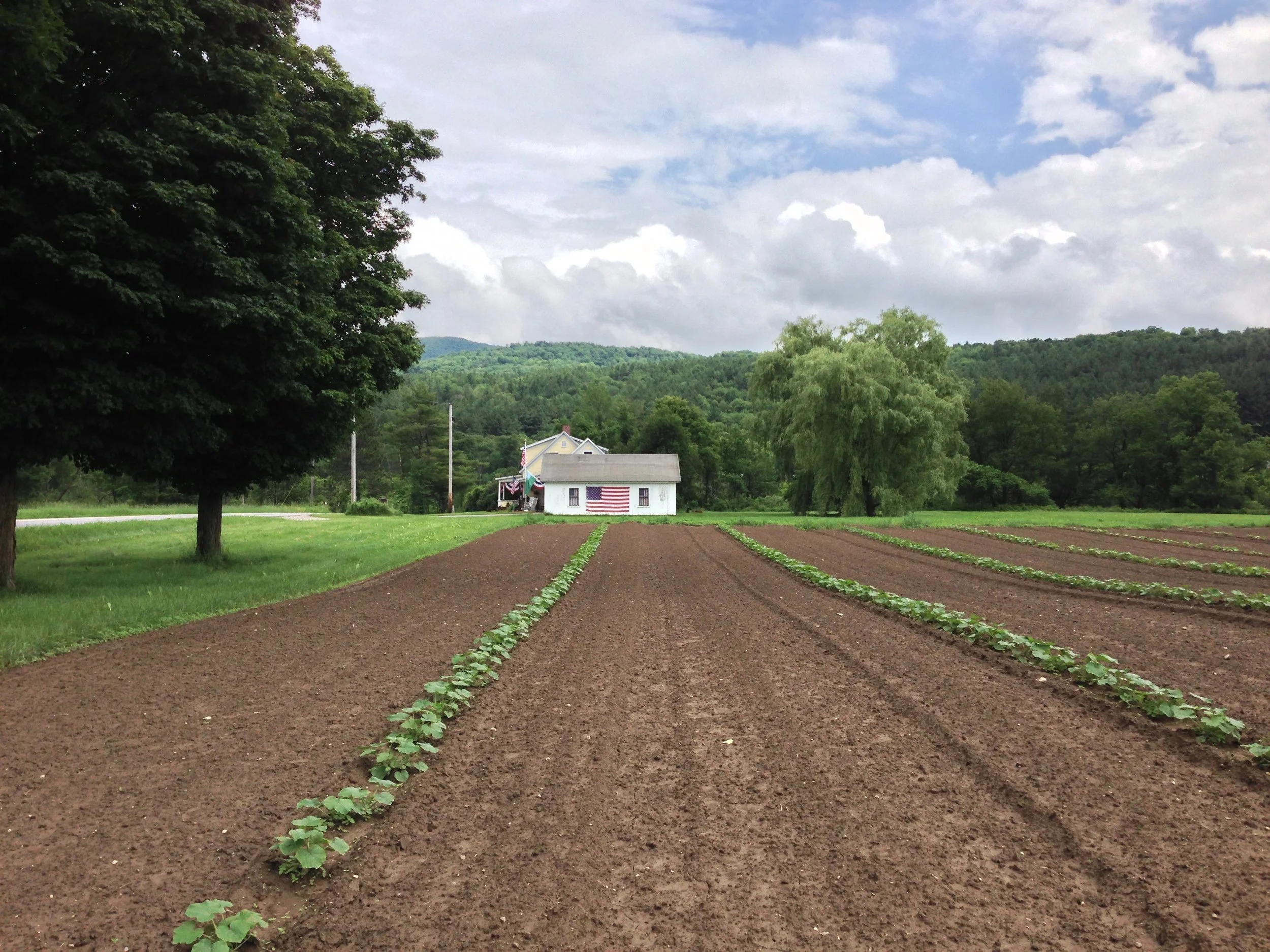 9-July 4th, Stowe
