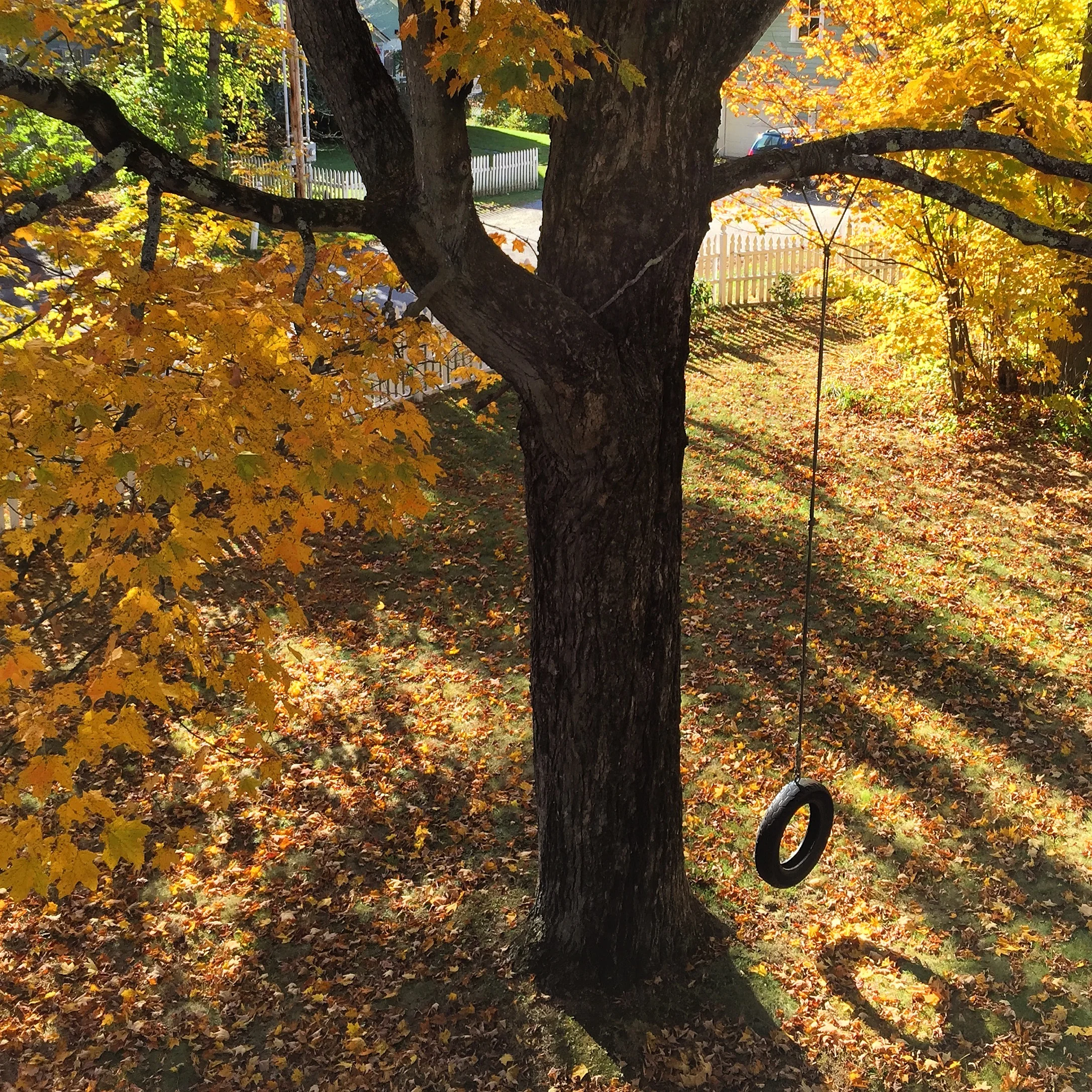 8-Tire Swing, Hyde Park Village VT, Instagram Square