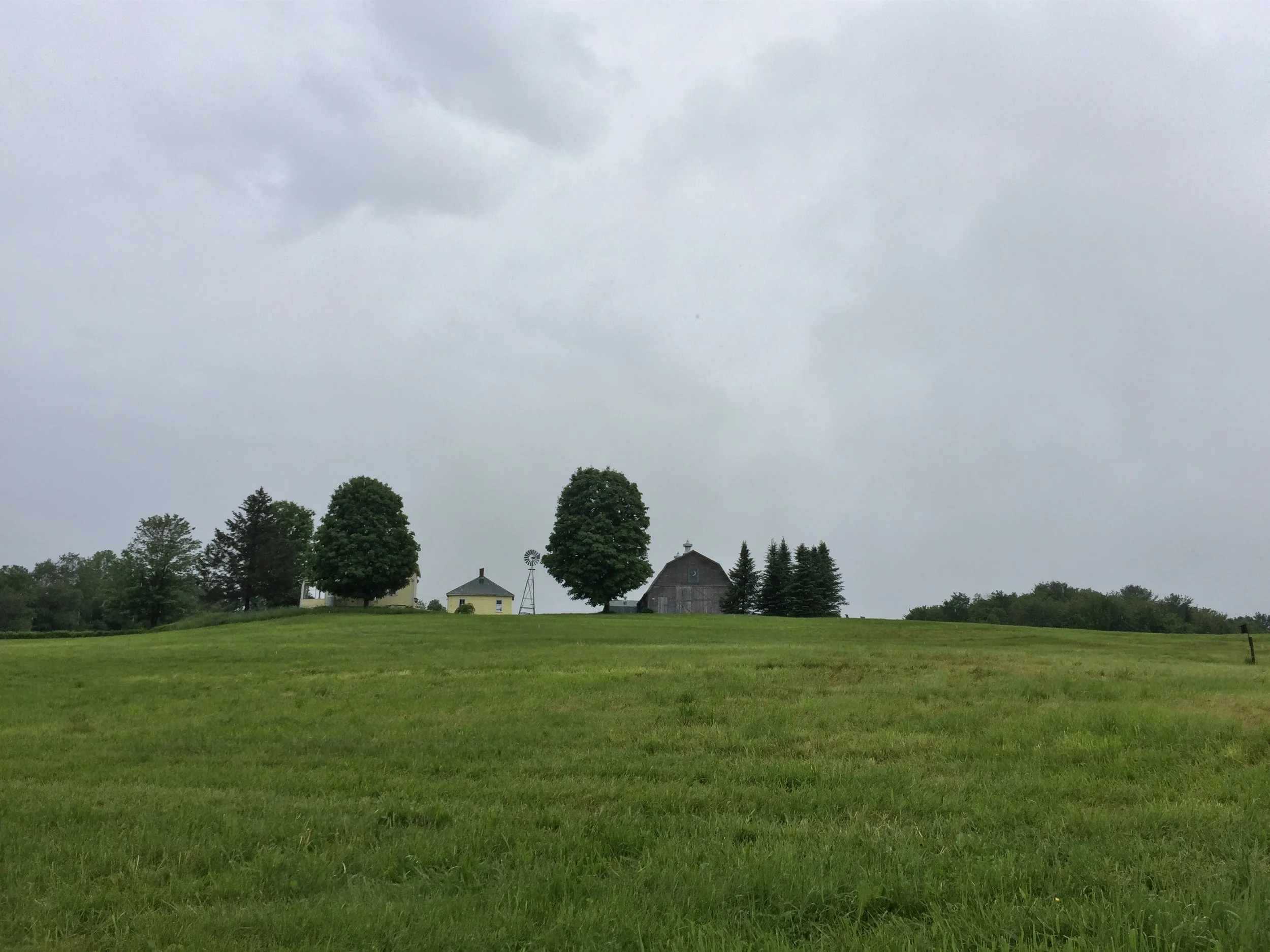 14-Webster Farm, Hyde Park