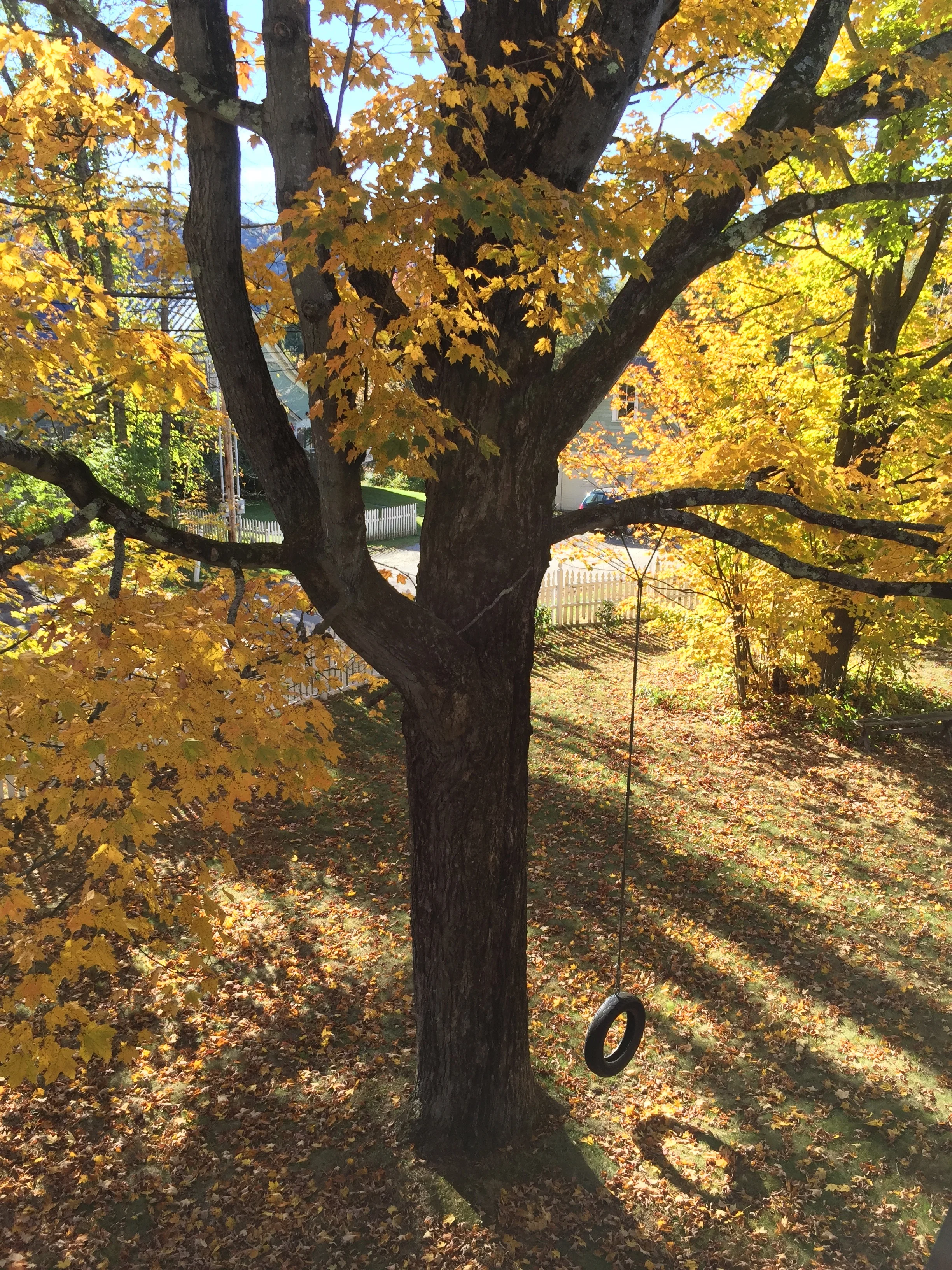 7-Tire Swing, Hyde Park Village, VT
