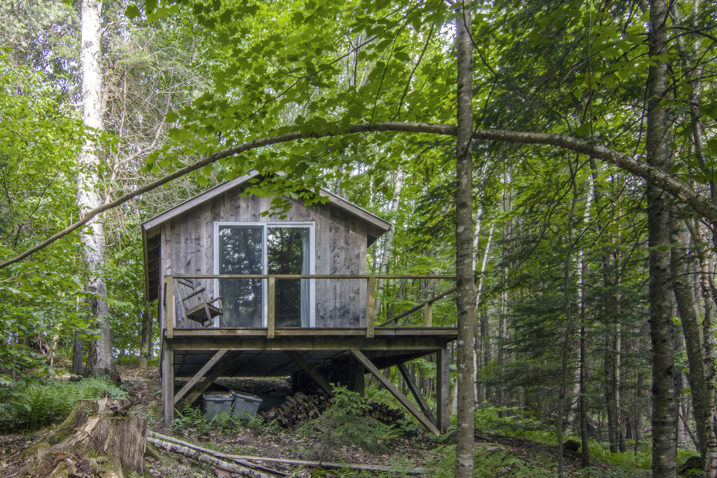 Custom-built cabin in the woods, with a deck