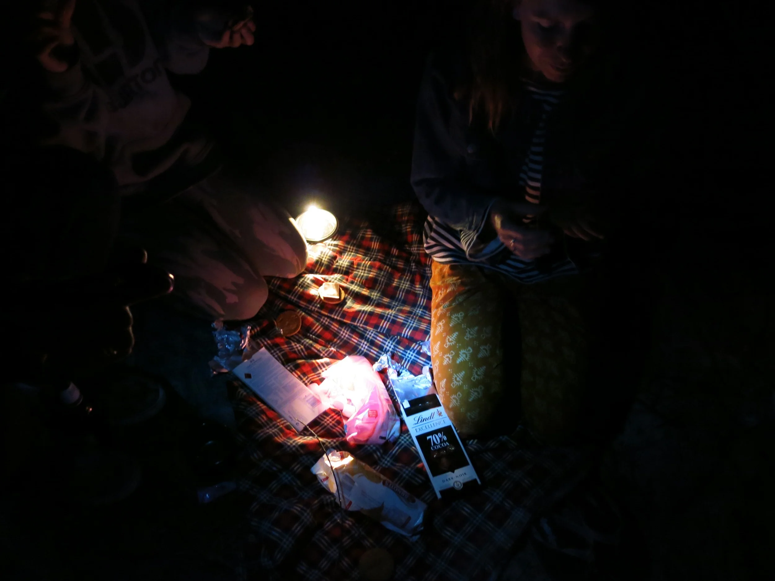 building our s'mores by torchlight 