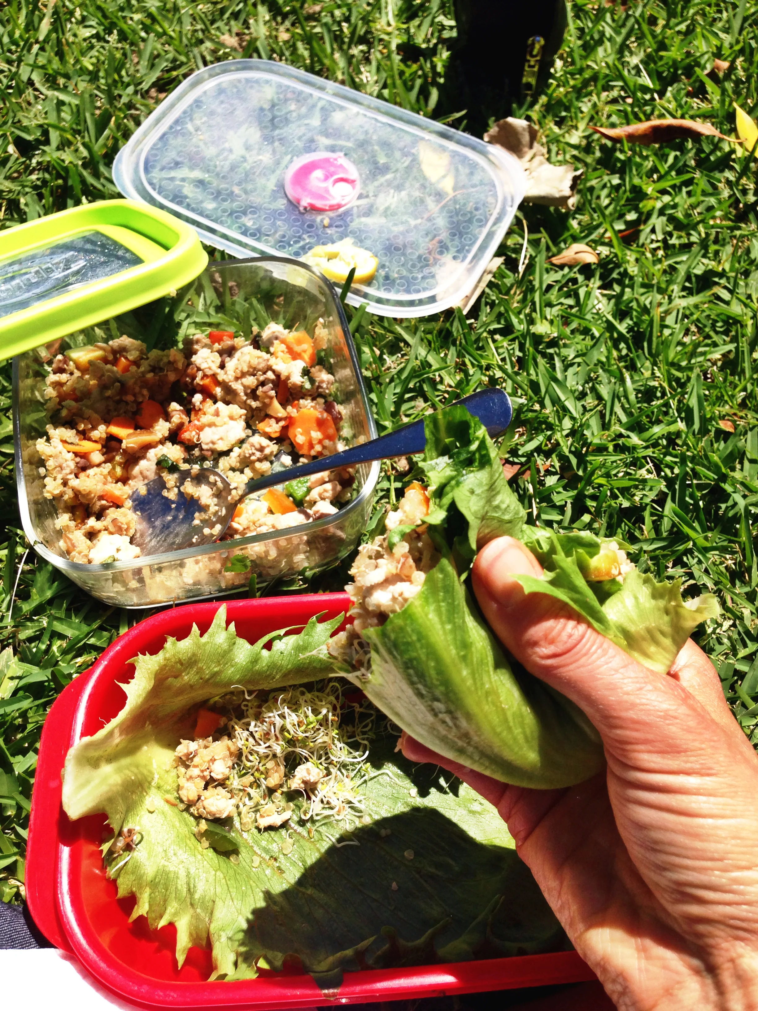 Lunchtime in the park