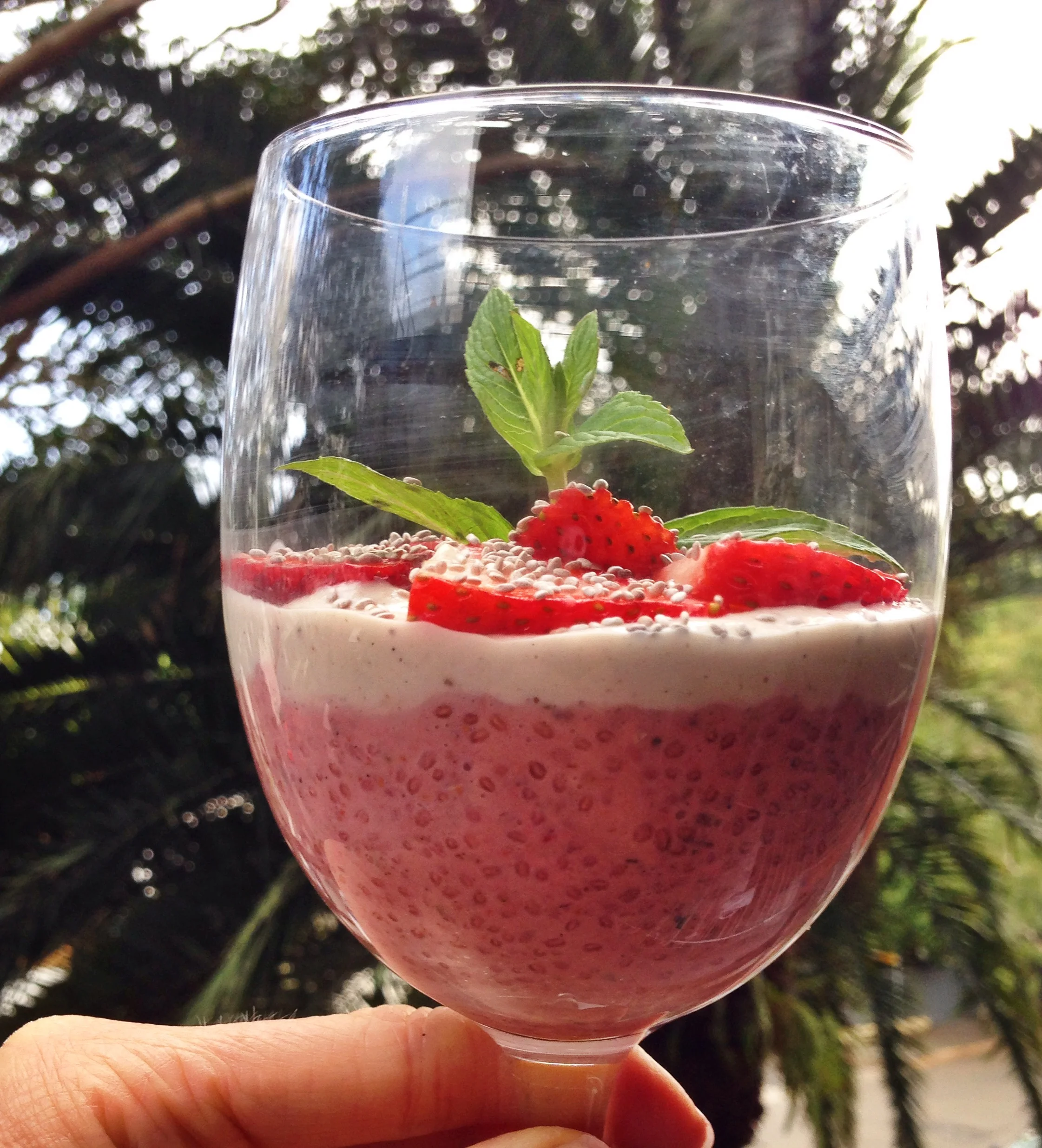 mousse 7.jpg