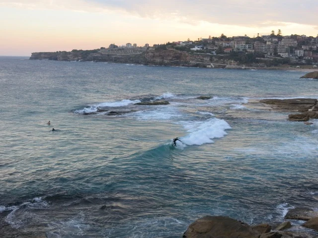 Bondi to Bronte walk