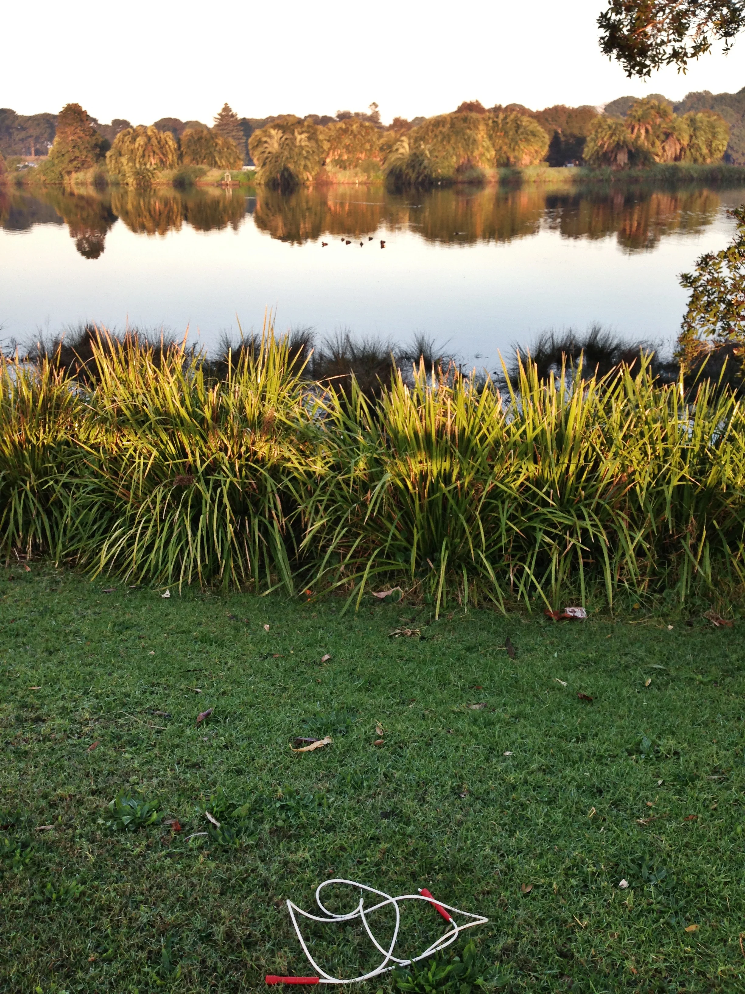 My fave jump rope spot in Centennial Park