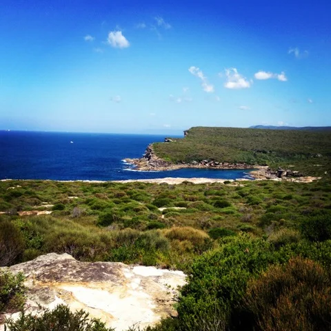 Stunning vistas in the Royal National Park