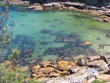Gordon's Bay from the coastal track