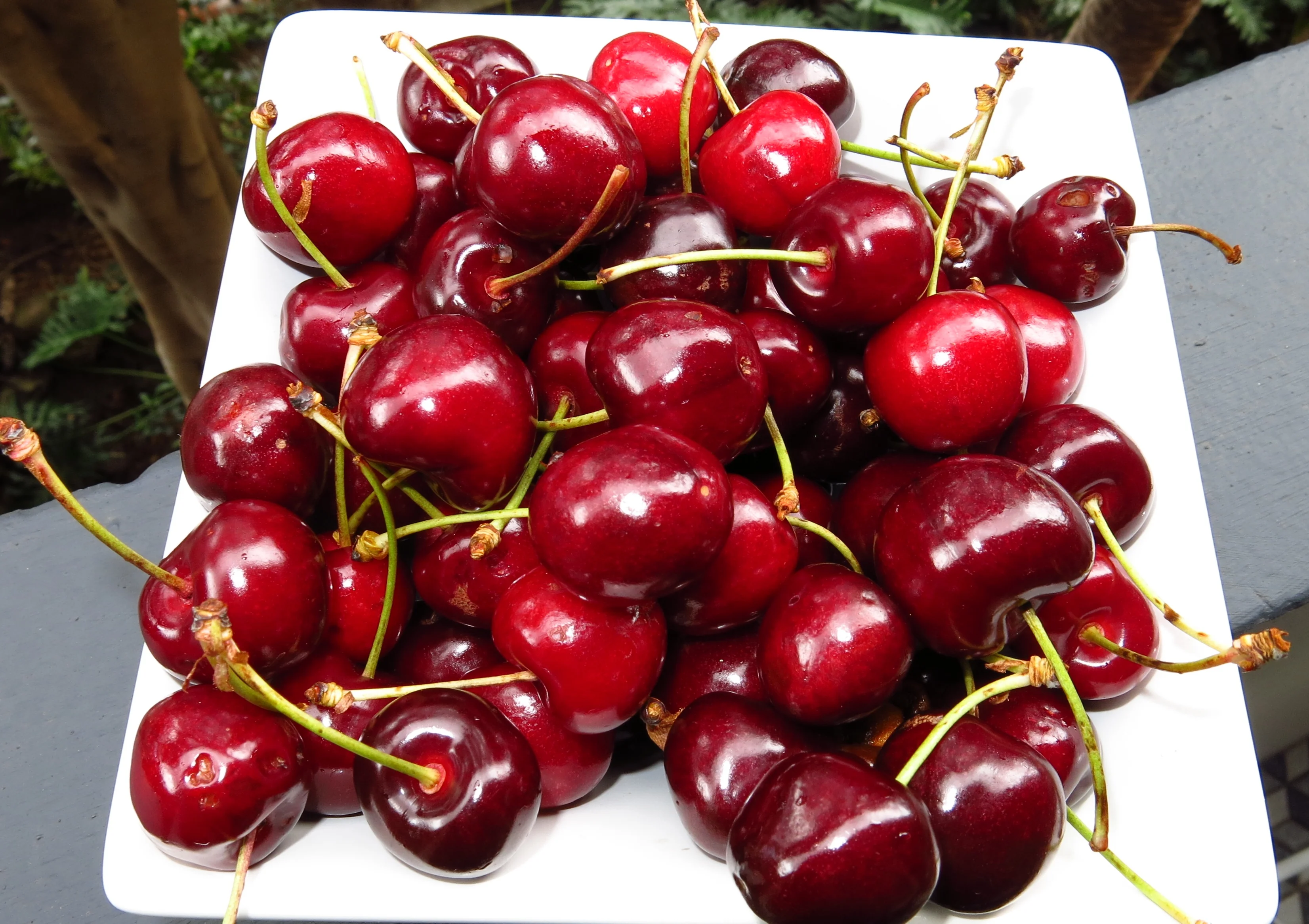 5 Natural Remedies for PMS + Kitchari Recipe