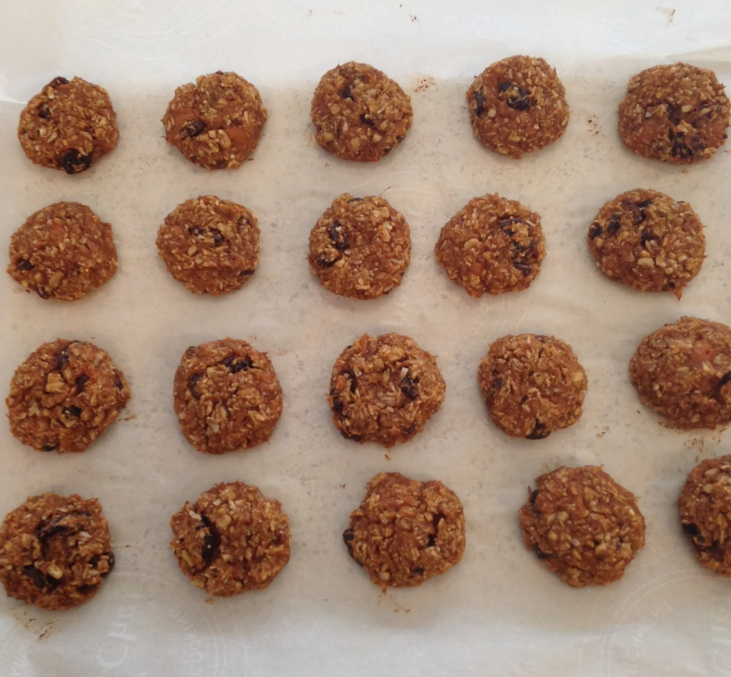 What is the Paleo Diet? + Sweet Potato Cookie Recipe