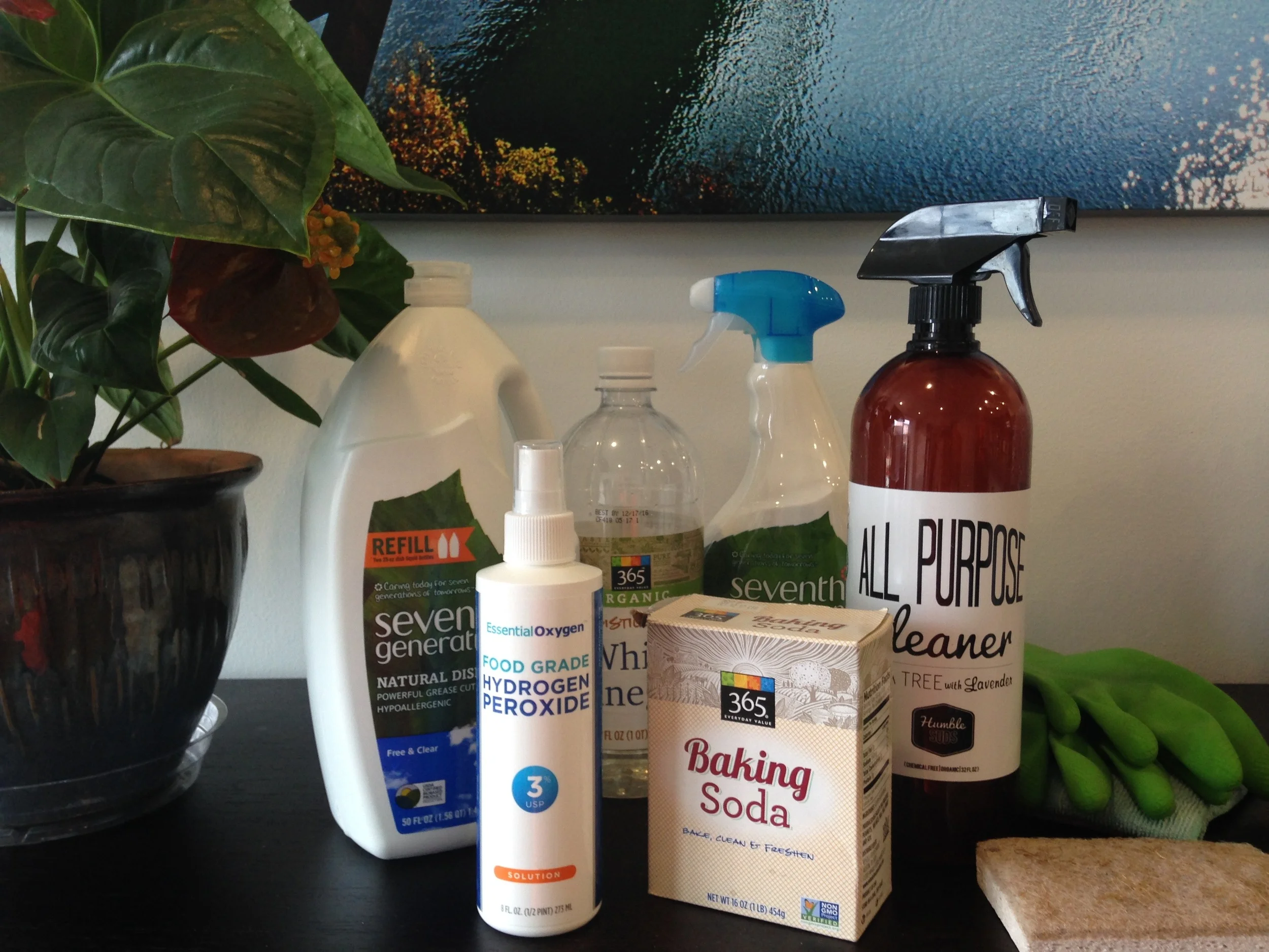 How to Detox your Home from Chemical Chaos