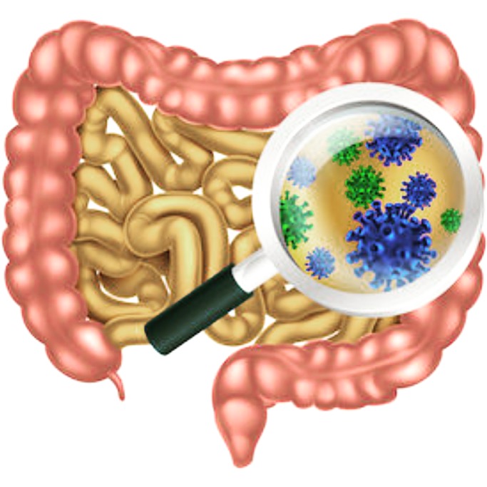 How You Know Your Probiotic Supplement is Working